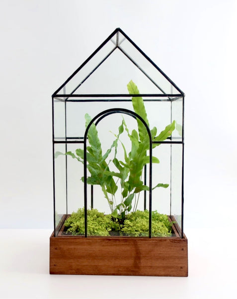 Temple Terrarium.