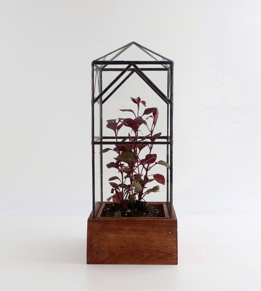 North Tower Terrarium.