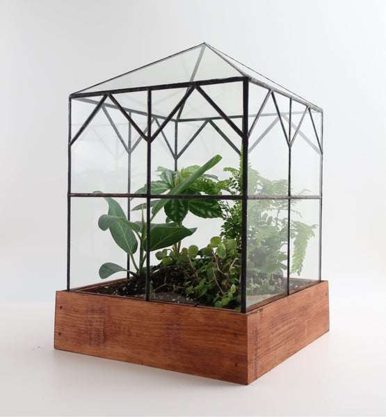 Esau Terrarium.