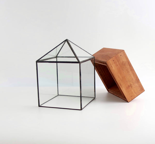 Dorman Terrarium.