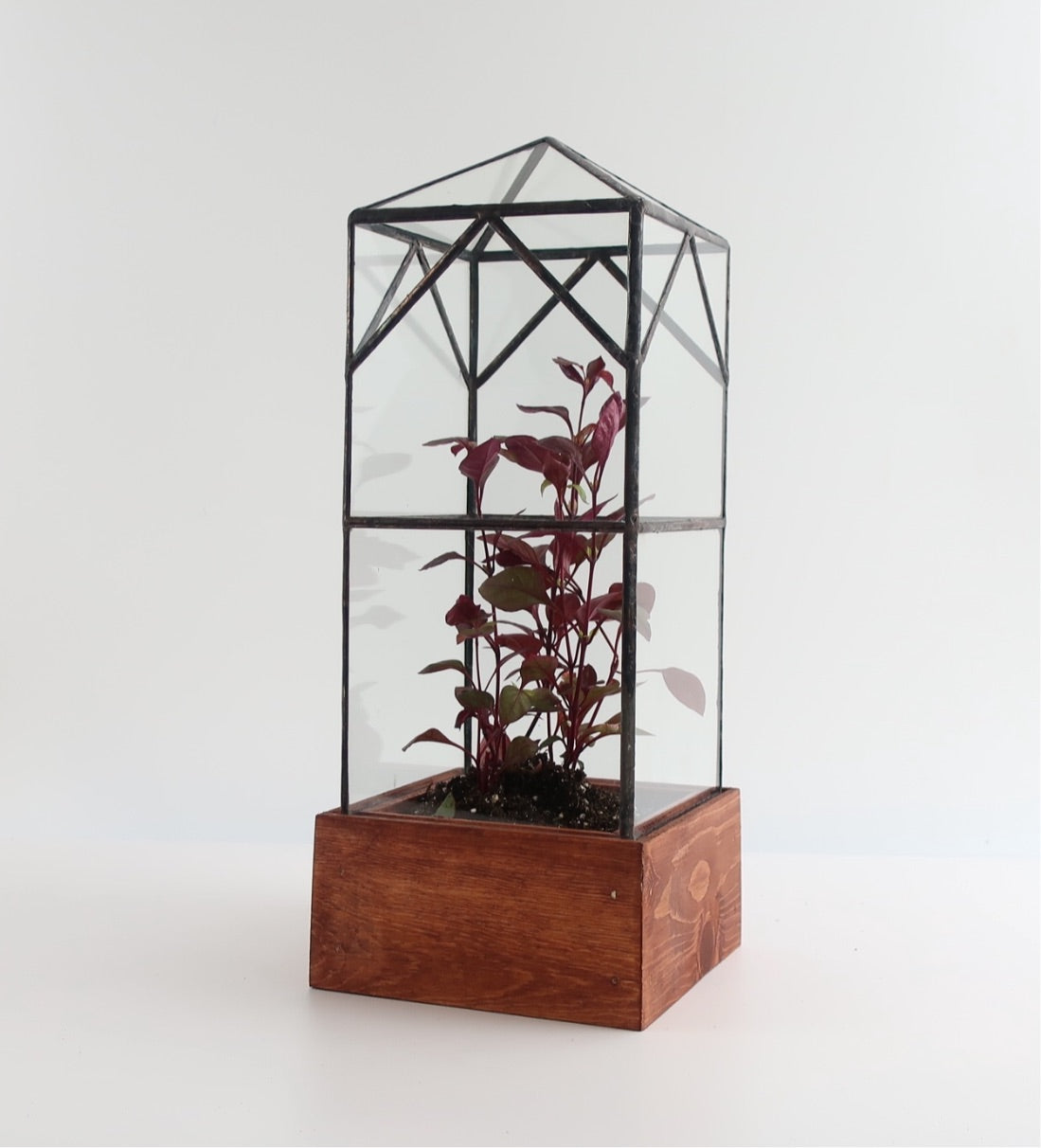 North Tower Terrarium.