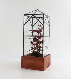 North Tower Terrarium.
