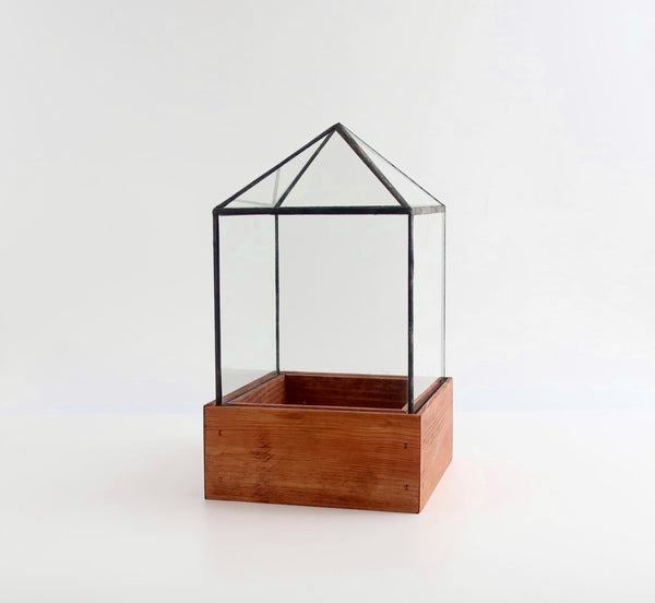 Dorman Terrarium.
