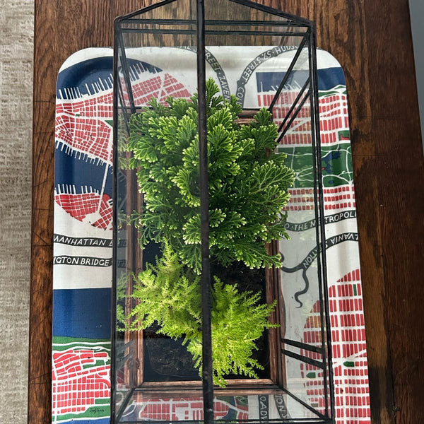 An overview shot of a fully planted terrarium. 